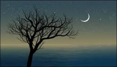 Qui chante "Comme un arbre dans la ville" ?