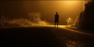 À quel groupe doit-on la chanson "On the road again" ?