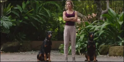 Comment se nomment les dobermans de Juliet ?