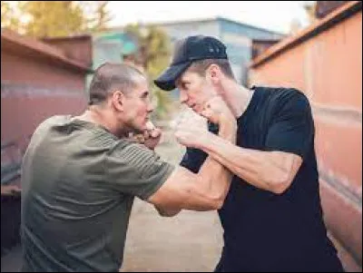 Une bagarre éclate entre tes amis, que fais-tu ?