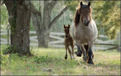 Dans quelle discipline est-il tr&egrave;s pris&eacute; ?