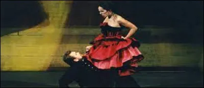 – Ma bête noire sera encore les règles d'accords des participes passés ! 
– J'entrave que dalle. J'ai eu un mal fou à savoir qui avait jeté la fleur et qui l'avait [...] !

– Hi, hiiii, Carmen... Cru, sûrement !