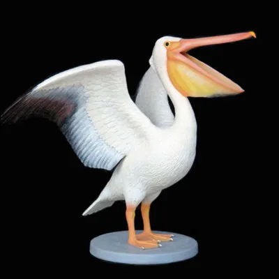 Quel est cet oiseau ?