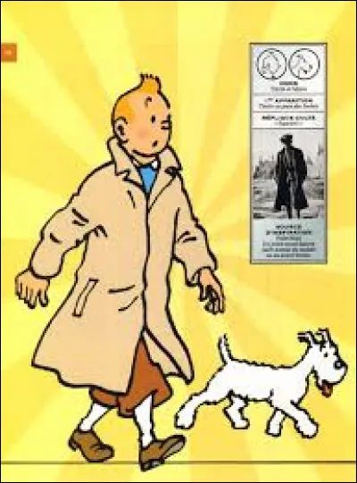 C'est une bande dessinée où le héros vit des aventures avec son chien. Il s'agit de :