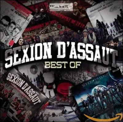 Le groupe de musique Sexion d'Assaut.