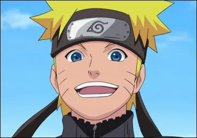 Dans l'animé "Naruto Shippuden", combien y a-t-il de saisons ?