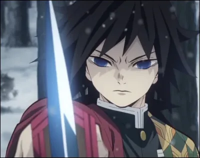 Dans l'animé "Demon Slayer", comment appelle-t-on les personnes ayant pour but d'éliminer les démons ?