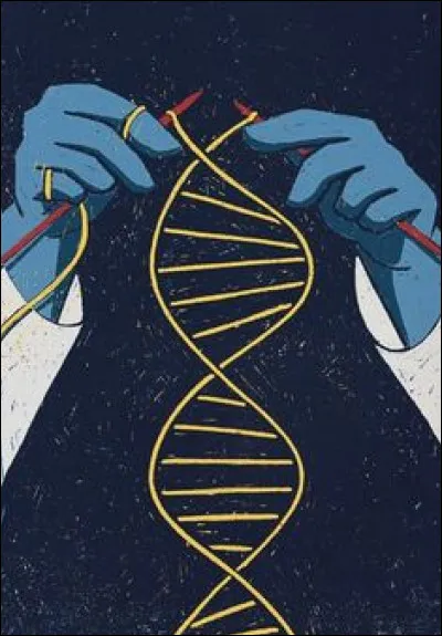 Lequel de ces chromosomes un homme possède-t-il ?