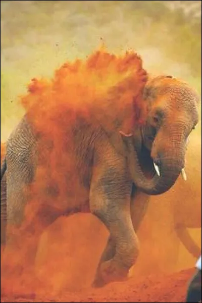 Quelle est la capitale de l'Inde ?