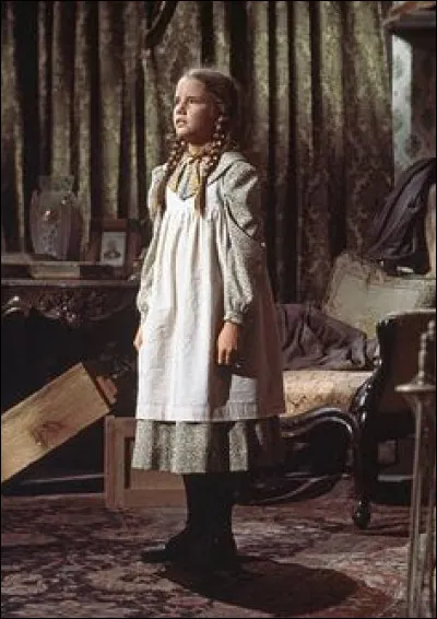 Quelle famille est au centre de la série "La Petite Maison dans la prairie" ?