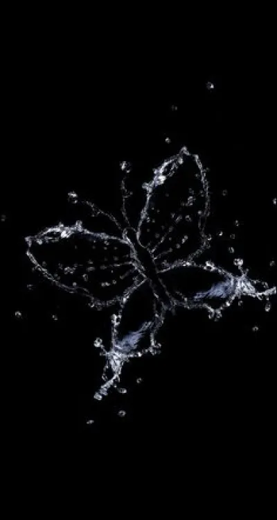 Laquelle de ces thématiques est possiblement étudiée en tant qu'option pour le baccalauréat ?