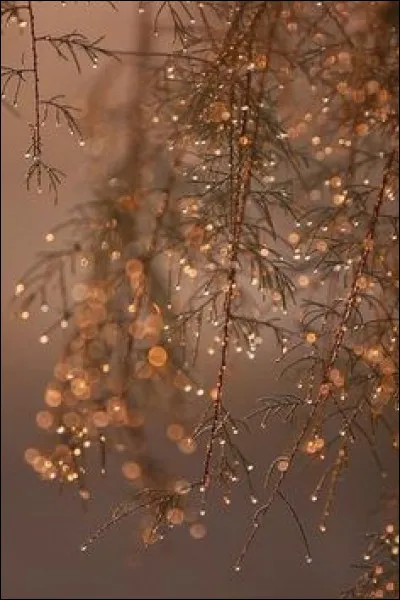 Quand l'automne débute-t-il ?