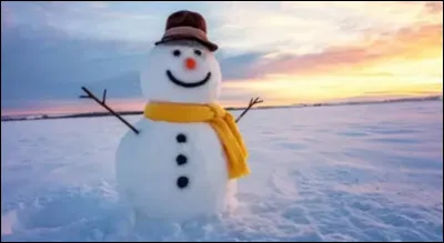 Quel est le comble d'un bonhomme de neige ?