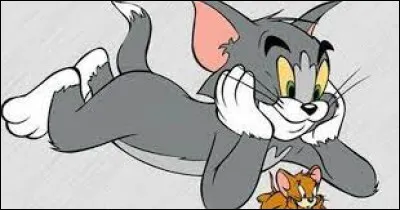 Dans Tom et Jerry et "l'Anneau magique", dans quel lieu se trouvent nos protagonistes ?