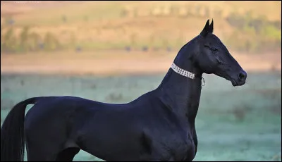 Sa t&ecirc;te est�