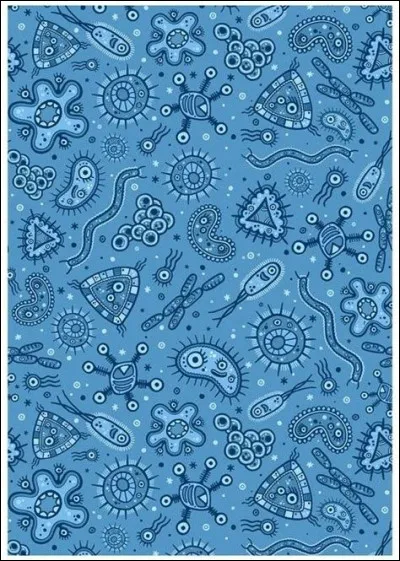 Combien de neutrons et protons le plomb comprend-il ?