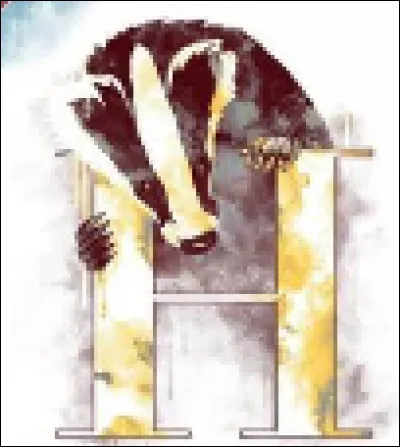 Dans quelle maison es-tu ?