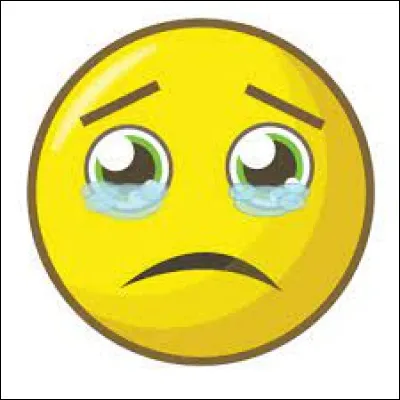 Si tu as des problèmes personnels, est-ce que tu en parles à tes amis ?