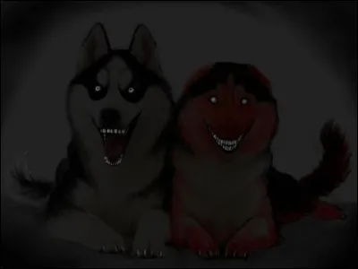 Qu'est-ce que « Smile Dog » ?