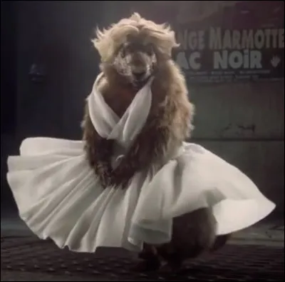 Action ou pamphlet publié contre Mazarin pendant la Fronde !