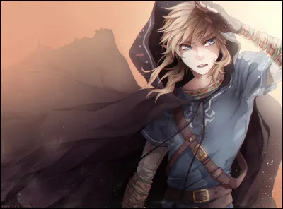Qui est amoureuse de Link depuis l'enfance ?