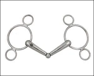 Quel est le nom du mors de la photo ?