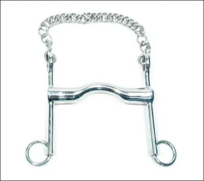 Quel est le nom du mors de la photo ?