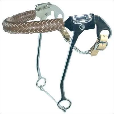 Quel est le nom du mors de la photo ?