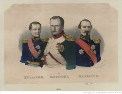 Les Bonaparte !
Du premier au troisième, ils ont marqué le dix-neuvième siècle. 
D'ailleurs, quel est le lien de parenté entre Napoléon Bonaparte et Napoléon III ?