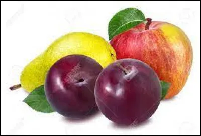 Lequel de ces arbres fruitiers peut donner une conférence ?