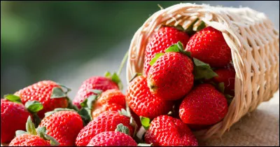 Combien de noyau(x) une fraise possède-t-elle ?
