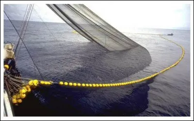 D'un côté il y a la cour et de l'autre le jardin, c'est la...