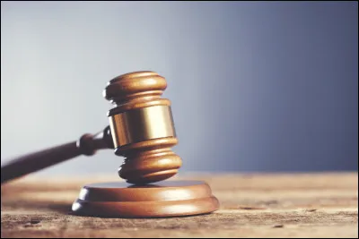 Vas-tu souvent aux ventes aux enchères ?