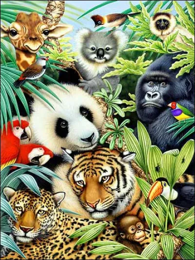 Parmi ces animaux lequel a un long cou ?