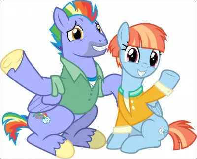 Quels sont les noms des 2 parents de Rainbow Dash ?
