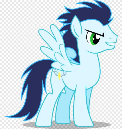 Qui a-t-il des ailes ?