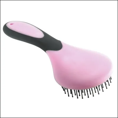 Quelle est cette brosse ?
