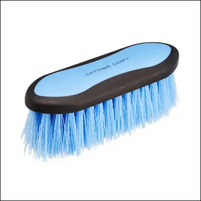 Quelle est cette brosse ?