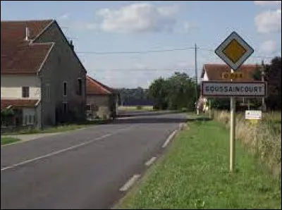 Nous sommes dans le Grand-Est, à l'entrée de Goussaincourt. Village de la Communauté de communes Commercy-Void-Vaucouleurs, il se situe dans le département ...