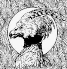 Quiz Animaux