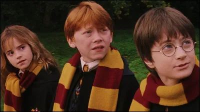 Quelles épreuves Harry, Ron et Hermione affrontent-ils pour atteindre la Pierre philosophale ?