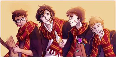 Qui sont les maraudeurs ?