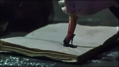 Parmi ces propositions, lesquelles sont des horcruxes ?