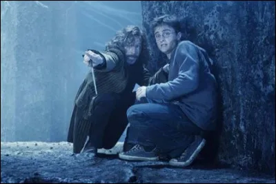 Qui accompagne Harry, Ron et Hermione à la bataille du Département des mystères ?