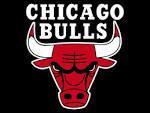 Aux Etats-Unis quel sport a t domin par l'quipe des Chicago Bulls durant les dernires dcennies ?