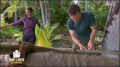 Sur quelle île les éliminés se rendent-ils ?