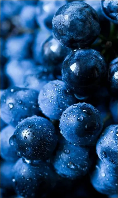 Quelle est la capitale de l'ail fumé ?