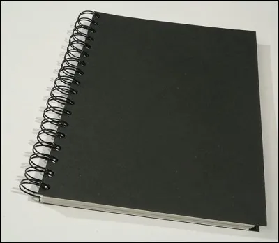 Retrouvez l'interprète par cette photo !