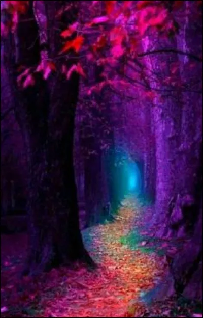 Ma cousine est intolérante au lactose, elle ne peut donc pas boire de :