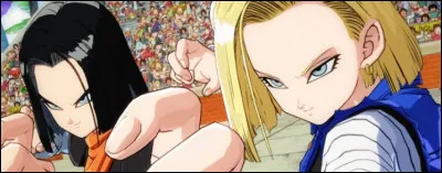 Quels sont les vrais noms de C17 et C18 ?